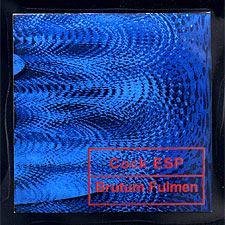 Cock ESP / Brutum Fulmen split mini-CDR cover art